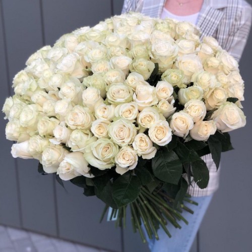 101 White Rose - 60 cm